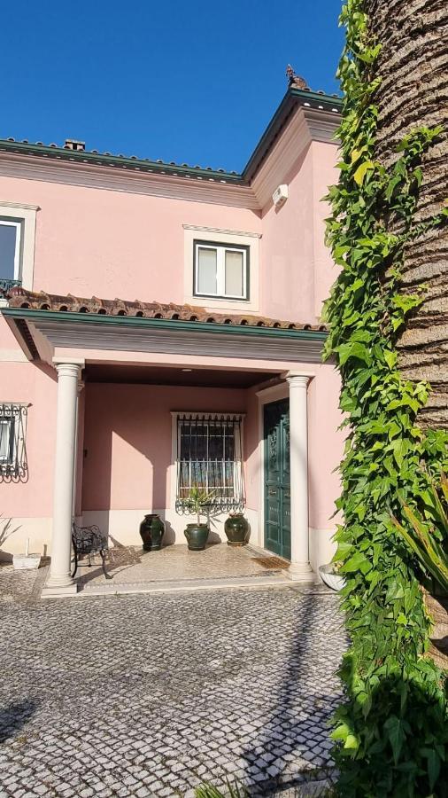 Casa Da Palmeira Leiria Extérieur photo
