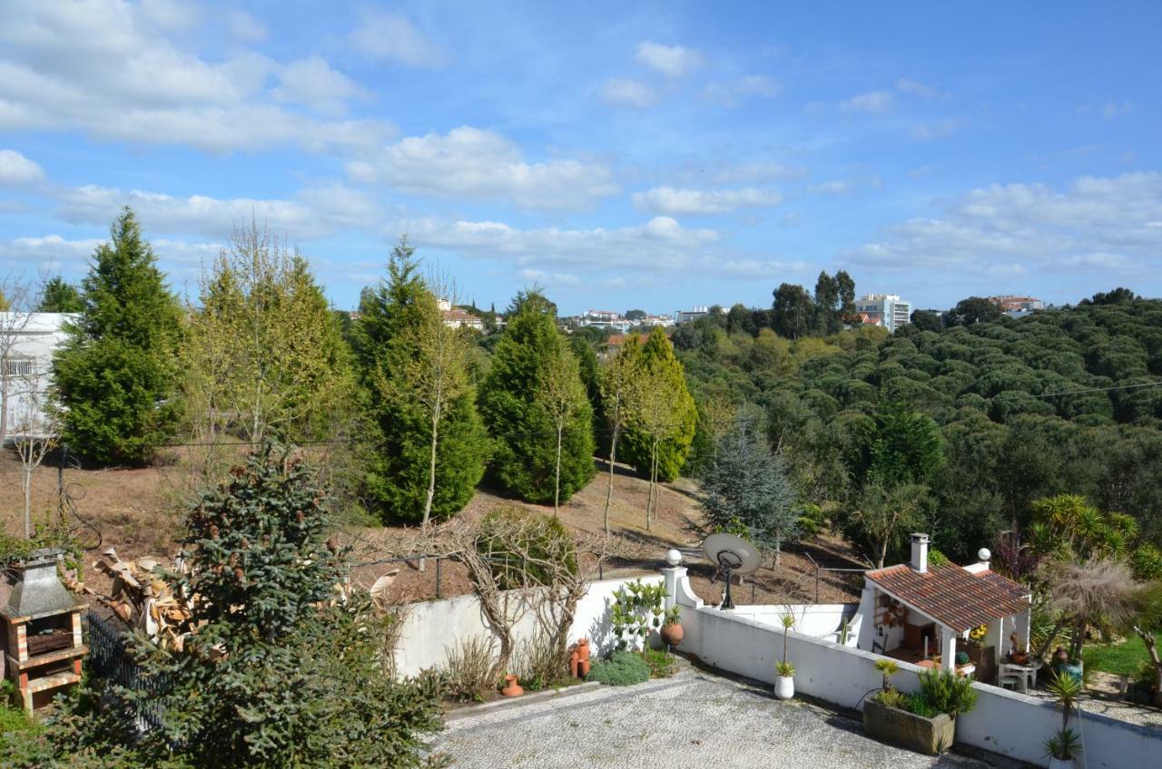 Casa Da Palmeira Leiria Extérieur photo