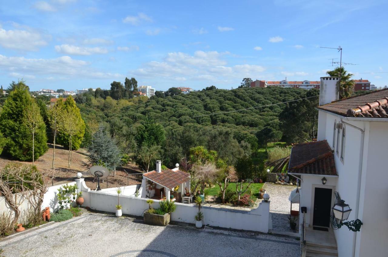Casa Da Palmeira Leiria Extérieur photo