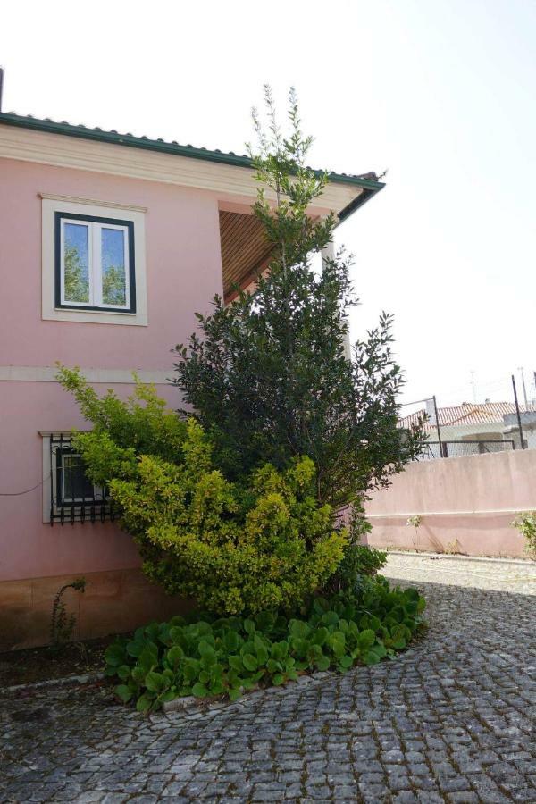 Casa Da Palmeira Leiria Extérieur photo